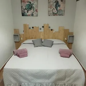 Casa vacanze Il Mirto Bianco, Olmedo